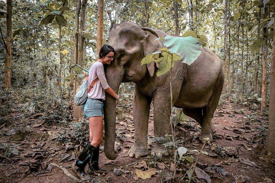 Mandalao Elephant Conservation